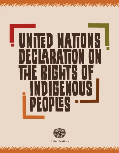 Cover of UNDRIP Report